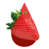 Kupa - Fraise
