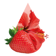 Kupa - Fraise Hibiscus